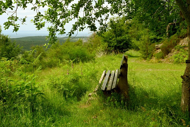 设置能有效 设置能有效