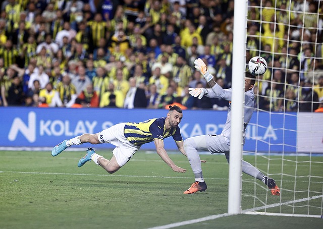 和竞技结合 和竞技结合