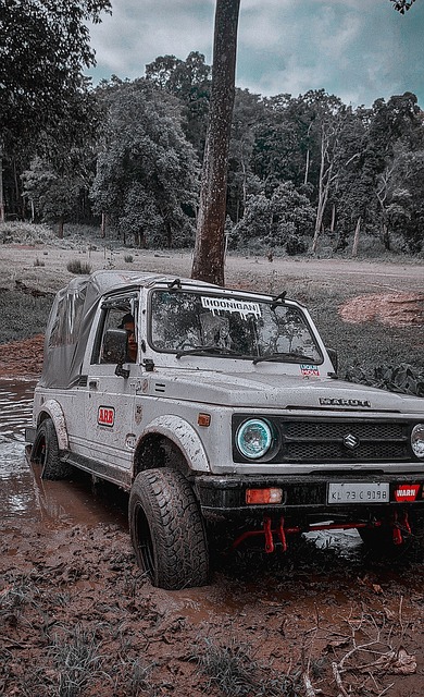 的非頂級豪 的非頂級豪