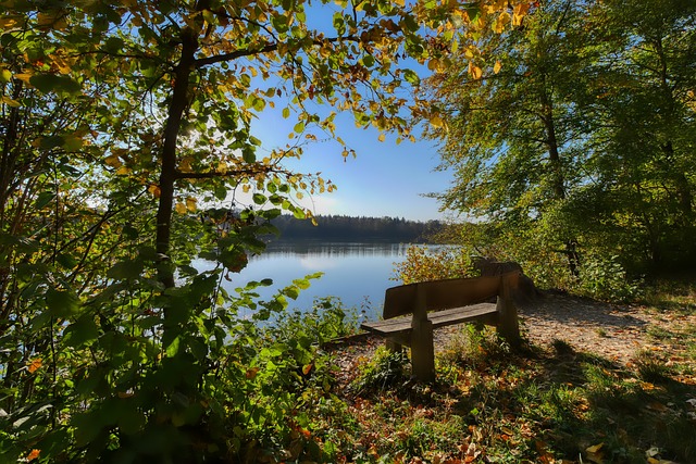 这些规定在 这些规定在