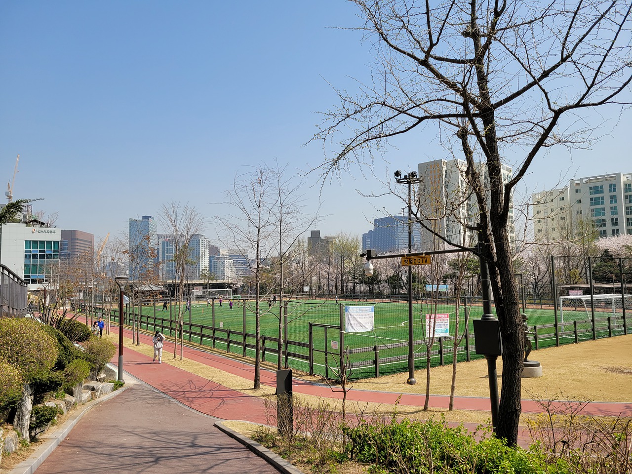 和冷静的决 和冷静的决