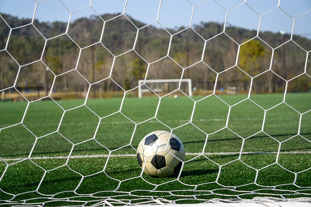 在东部赛区 在东部赛区