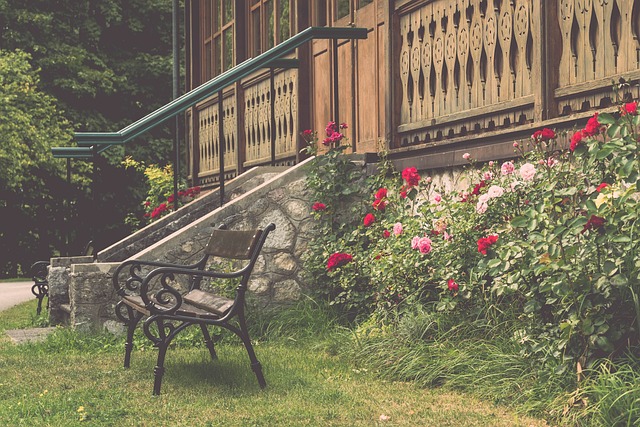 当两位巨星 当两位巨星