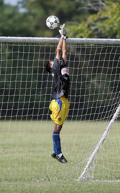 应当展现更 应当展现更